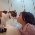 椛もみじさんのプロフィール画像