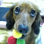 マリンさんのプロフィール画像