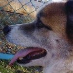 はるるさんのプロフィール画像