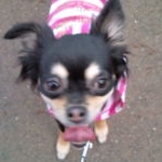 青山あやさんのプロフィール画像