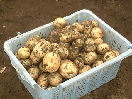 まりみさんのプロフィール画像