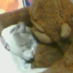 りちまるさんのプロフィール画像