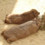 そらさんのプロフィール画像