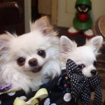 ろこにこさんのプロフィール画像