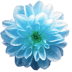 piece mamaさんのプロフィール画像