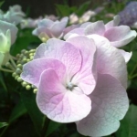 きょんさんのプロフィール画像