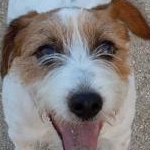 akikoさんのプロフィール画像