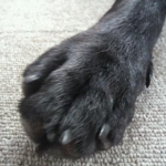 まるさんのプロフィール画像