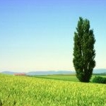 asaさんのプロフィール画像