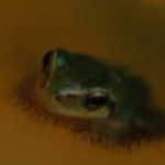 mimiさんのプロフィール画像