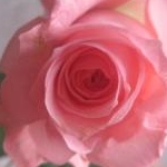 ☆かがみ☆さんのプロフィール画像