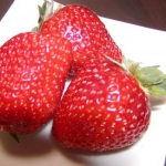 イチゴッチさんのプロフィール画像