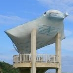 oorandaさんのプロフィール画像