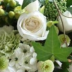 ＡＮママさんのプロフィール画像