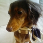 nacoさんのプロフィール画像