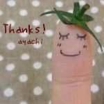 ayachiさんのプロフィール画像