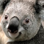 さとさんのプロフィール画像