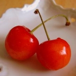 oranginoさんのプロフィール画像