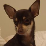 tukasaさんのプロフィール画像