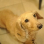 まりんさんのプロフィール画像