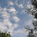 みさママさんのプロフィール画像