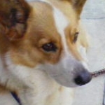 くーさんのプロフィール画像