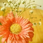 ゆうる☆さんのプロフィール画像