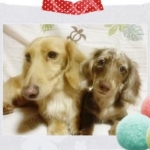 恋さんのプロフィール画像