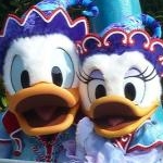 ドナっぺさんのプロフィール画像