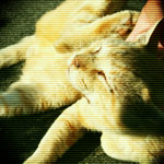 kumiy＊さんのプロフィール画像