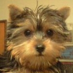 キムチ納豆さんのプロフィール画像