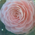 encoさんのプロフィール画像