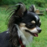 姫ママさんのプロフィール画像