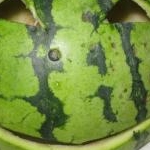 ドリドリさんのプロフィール画像