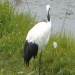 ババばーちゃんさんのプロフィール画像