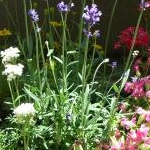 ガチャピンさんのプロフィール画像