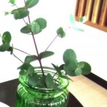 momさんのプロフィール画像