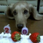 みぃたろ。さんのプロフィール画像