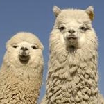 むーむーさんのプロフィール画像