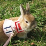 MIYOKOさんのプロフィール画像