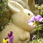 うささんのプロフィール画像