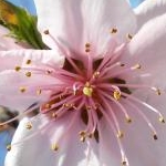 ミワリンさんのプロフィール画像