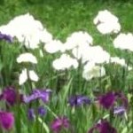 ya1ka2さんのプロフィール画像