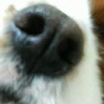 きょうさんのプロフィール画像