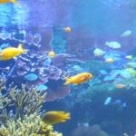 ちゃあさんのプロフィール画像