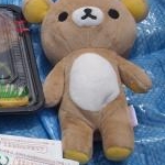 ぽたさんのプロフィール画像