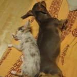 ともすけさんのプロフィール画像