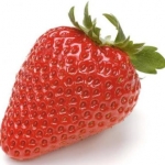 UVcut3さんのプロフィール画像