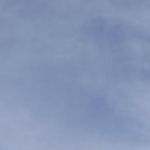 とんとんぶーにゃんさんのプロフィール画像