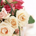 ねずみままさんのプロフィール画像